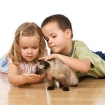 Katze und Kinder; © photos.com