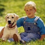 Hund und Kind; © photos.com
